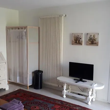 San Lazzaro 萨韦纳河畔圣拉扎罗